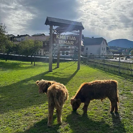 Hiska Na Samem V Slovenj Gradcu *