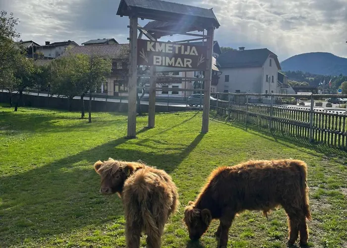 Hiska Na Samem V Slovenj Gradcu *